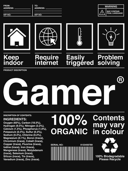 Gamer Poster